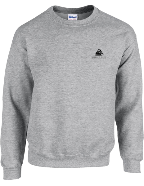 Picture of Grey Crewneck Sweatshirt